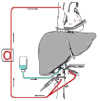 Figure 4 Figure 4