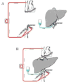 Figure 5 Figure 5