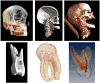 Figure 3 Figure 3