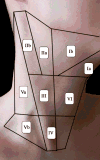 Figure 1. Figure 1.