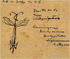 Figure 3 Figure 3