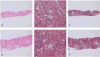 Figure 1 Figure 1